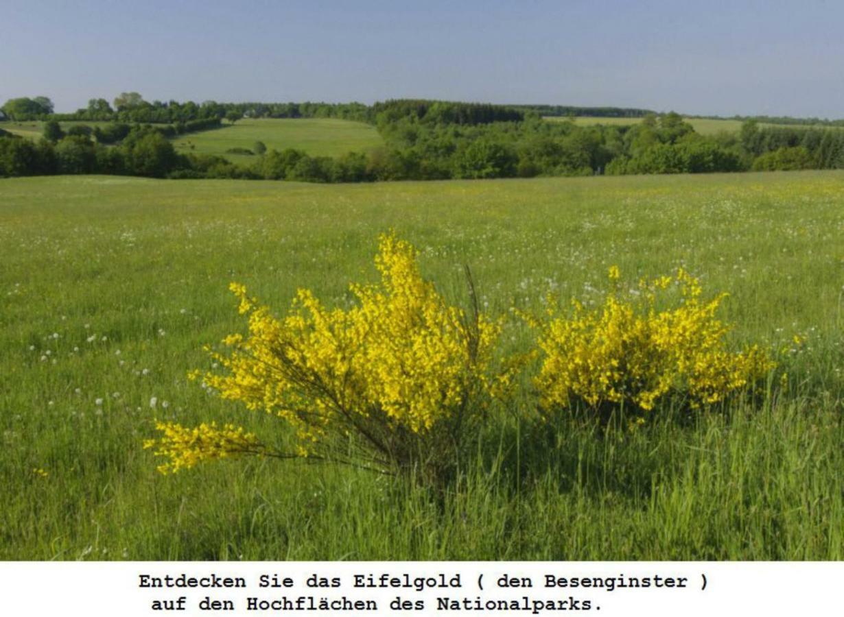 Gross B Schleiden